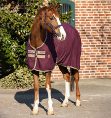 Horseware Ireland Amigo® Stable Sheet
