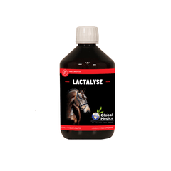 Global Medics Lactalyse