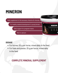 Global Medics Mineron