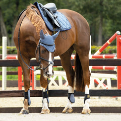 BR Event earmuff Grisaille