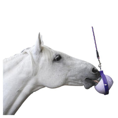 Likit Boredom Buster horse toy