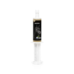 Global Medics Gastryl